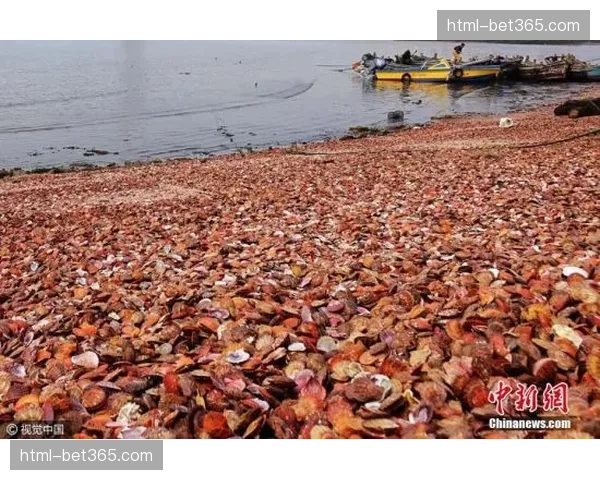 青岛海牛遭遇三连败 三场失8球攻防两端均现严重问题